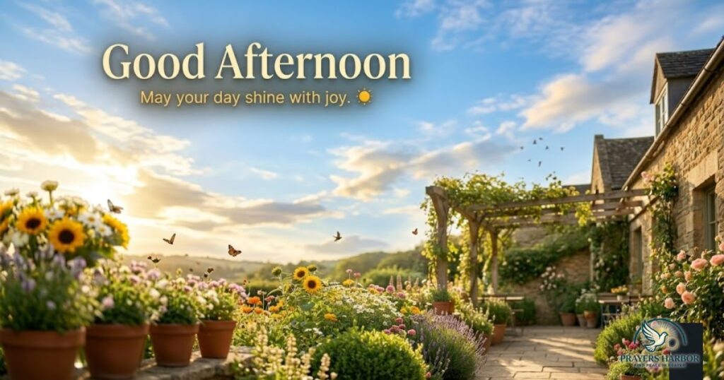 Best Good Afternoon Greetings